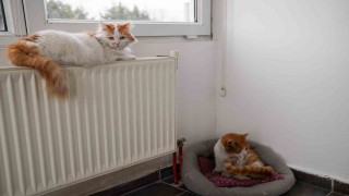 57 patili dost sıcak yuvasına kavuştu