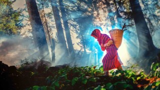 9 bine yakın fotoğraftan 14ü ödüle layık görüldü