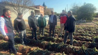 Adana İl Tarım ve Orman Müdürlüğü 3 günde 500 bin dekar alanı taradı