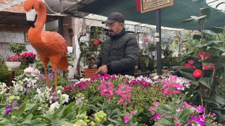 Ağabeyinin Hatırasını Botanik Kafede Yaşatıyor