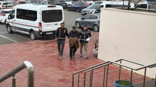 Ağaç budarken çıktığı duvardan düşen şahıs hayatını kaybetti