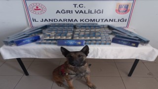 Ağrıda 6 bin 548 paket kaçak sigara ele geçirildi