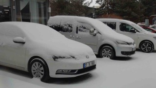 Ahlatta kar yağışı, 8 köy yolu ulaşıma kapandı