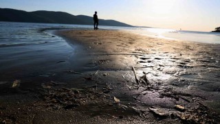 Muğla’da Deniz Suyu Geri Çekildi! İşte Nedeni