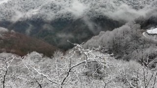 Alaplının Gümeli köyüne mevsimin ilk karı düştü