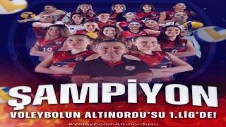 Altınordu Voleybol, 1. Ligde