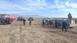 Altıntaşta mera alanları için 16 ton gübre
