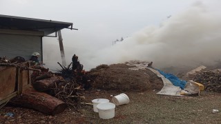 Antakyada odunluk yangını