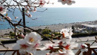 Antalya şubatta baharı yaşadı