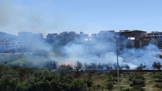 Antalyada sazlık alandaki yangın kontrol altına alındı