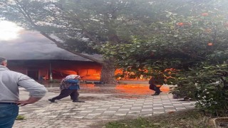 Arı ürünleri deposunda yangın