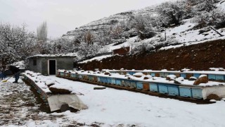 Arıcıların kış mesaisi sürüyor