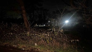 Arnavutköy‘de ağaçlık alanda erkek cesedi bulundu