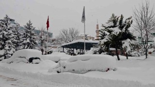Artvin şehir merkezinde kar esareti
