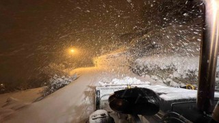 Artvinde kar yağışı sonrası ekipler cadde ve sokaklarda çalışma başlattı
