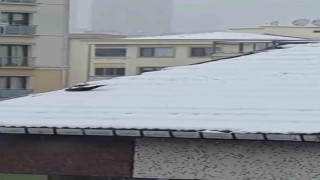 Ataşehirde karganın kar keyfi kamerada