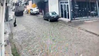Aydında ilginç kaza
