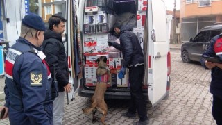 Ayvalıkta jandarma suçlulara geçit vermedi