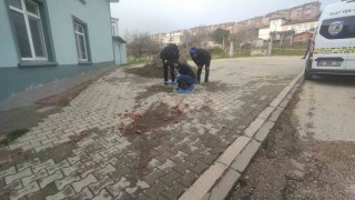 Bandırmada ağır yaralanan şahıs hayatını kaybetti