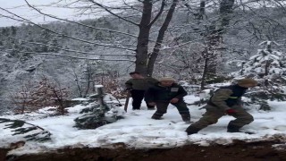 Bartında beklenen kar yağışı başladı