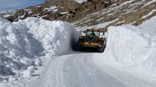 Başkalede kar yağışı: 50 yerleşim yerinin yolu ulaşıma kapandı