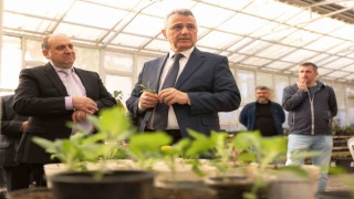 İlkadım Belediyesi’nden Tarıma Destek Sürüyor