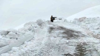 Batmanda karla kaplı köy yolları ulaşıma açıldı
