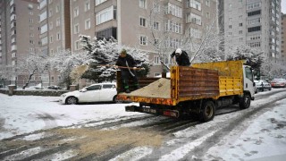 Beylikdüzü Belediyesi 839 Personelle Karla Mücadele Ediyor