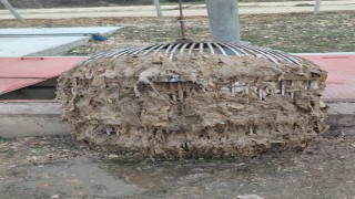 Bilecik Belediyesinden tuvalet ve lavabo giderlerine atık atılmaması uyarısı