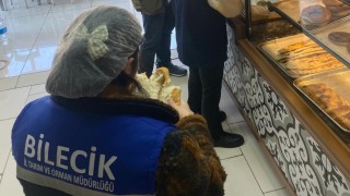Bilecikte fırınlar denetlendi