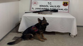 Bingölde 8 şüpheli yakalandı