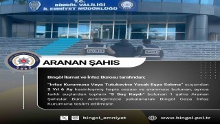Bingölde kesinleşmiş hapis cezası bulunan 2 şüpheli tutuklandı