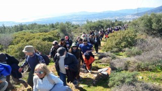 Bodrumda kültür ve doğa gezileri başladı