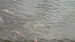 Boynuna taş bağlanıp suya atılan iki köpek yavrusu telef oldu