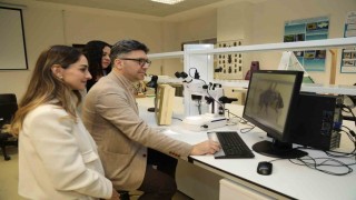 BTÜ Uludağ ormanlarındaki arıların tür çeşitliliğini belirleyecek