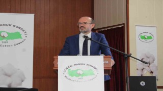 Bu yıl pamuk toprağa ekilmeden desteklemeler açıklandı