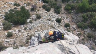 Burdurda dağlık alanda mahsur kalan keçileri AFAD ekipleri kurtardı