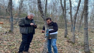 Bursa Ormanlarındaki ağaçlar tek tek kontrol edildi