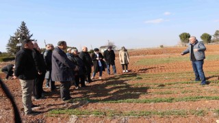 Büyükşehir Belediyesinden çiftçilere anıza ekim yöntemleri eğitimi