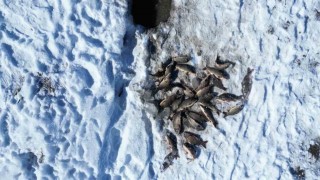 Buz tutan gölette ‘Eskimo usulü balık avı