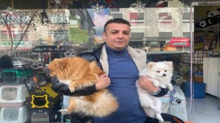 Çalınan köpek İhlas Haber Ajansının haberinden sonra bulundu