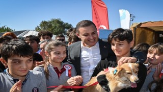 ‘Can Dostla Sokak hayvanlarına ücretsiz tedavi desteği