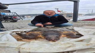 Çanakkale Boğazında yolunu şaşıran caretta caretta yat limanına girdi
