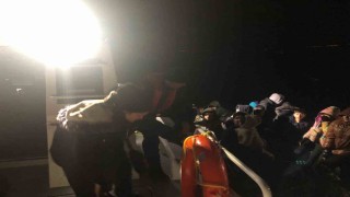 Çanakkalede 44 kaçak göçmen yakalandı
