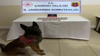 Çankırıda aranan 116 şahıs yakalandı