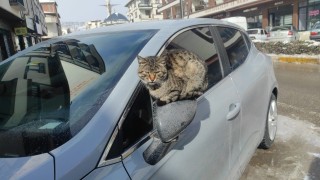 Çekerekte kartpostallık kar manzaraları oluştu