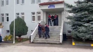 Çiftçilerin korkulu rüyasına dönüşen hayvan hırsızları jandarmadan kaçamıyor