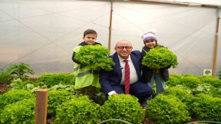 Çocuklar, serada yetiştirdikleri ürünleri hasat etti