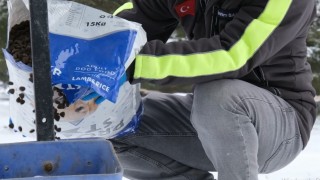 Çorum Belediyesinden doğadaki canlılara şefkat eli