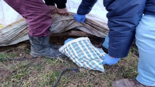 Çorumda yasa dışı silah ticareti yapan 1 şüpheli tutuklandı